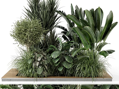 Various Bonsai Potted Plants With Lush Green Leaves And Different Leaf Shapes On Wooden Tray 3d model