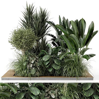 Various Bonsai Potted Plants With Lush Green Leaves And Different Leaf Shapes On Wooden Tray 3d model
