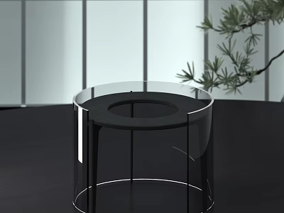 Minimalist Acrylic Circular Ornament Decor Set With Black Base Green Plant And Gray Striped Wall 3d model