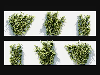 Lush Green Vines With Various Growth Patterns Displayed On White Background Wall 3d model