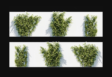 Modern honeysuckle vine wall-climbing plant honeysuckle mandarin duck grass climbing vine green plant creeper vine plant wall-climbing green plant herb 3d model