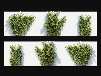 Modern honeysuckle vine wall-climbing plant honeysuckle mandarin duck grass climbing vine green plant creeper vine plant wall-climbing green plant herb 3d model