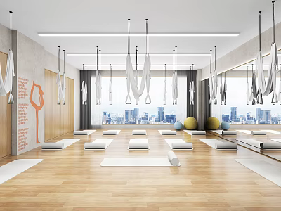 Yoga Fitness Studio With Wooden Floor White Mats Aerial Swings City View And Colored Balls 3d model