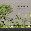 Indoor Landscape Featuring Nature and Life Theme Large Tree Various Green Plants Decorative Lights
