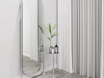 Full Length Mirror With Silver Frame Potted Plant And White Curtains In Modern Interior 3d model