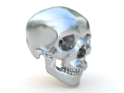 Shiny Silver Metallic Skull Sculpture With Detailed Facial Features And Polished Surface 3d model