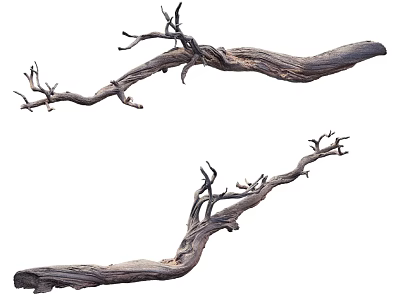 Decorative Dry Tree Branches With Natural Wooden Texture And Twisted Shapes 3d model