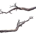Decorative Dry Tree Branches With Natural Wooden Texture And Twisted Shapes