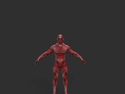 Game And Movie Character With Red Body Detailed Muscular Texture And Humanoid Form 3d model