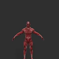 Game And Movie Character With Red Body Detailed Muscular Texture And Humanoid Form