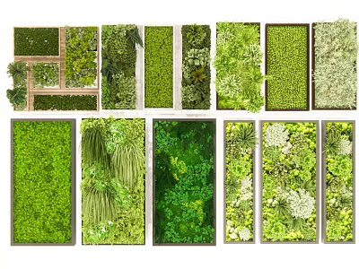 Various Types of Living Green Walls With Lush Foliage and Decorative Plant Panels 3d model