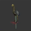 Grey Feathered Flying Animal with Long Legs Standing on Dark Surface with Reflection