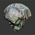 Head Character Portrait Head Various Heads Various Heads Head Carving Head Carving Portrait Face Carving 3d model