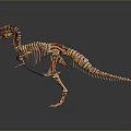 Golden T Rex Dinosaur Skeleton With Detailed Bone Structure On