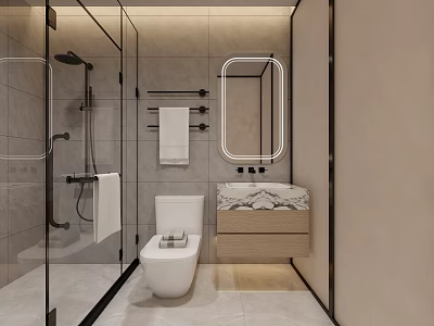 Modern Bathroom With Glass Shower Toilet And Vanity 3d model