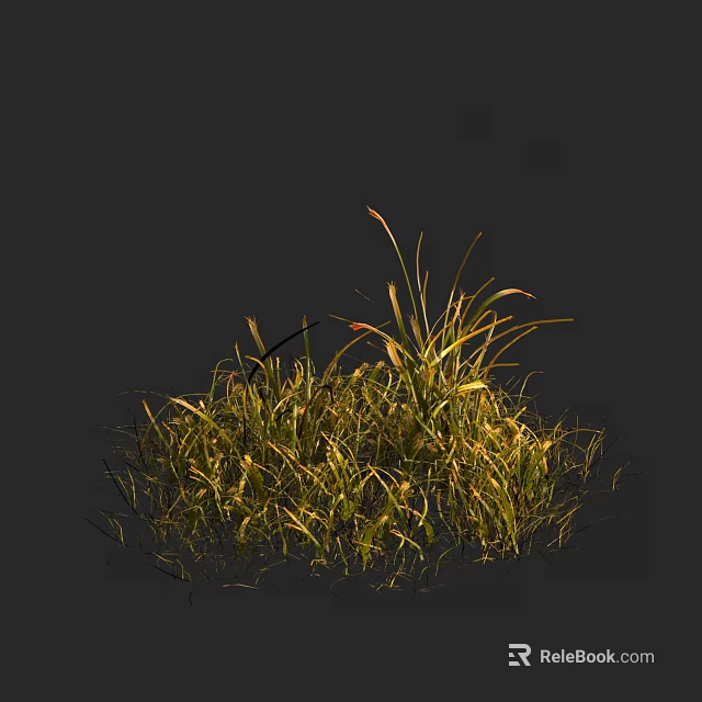 Natural Growing Clump of Grass with Slender Green and Yellow Leaves in Natural Setting 3d model 
