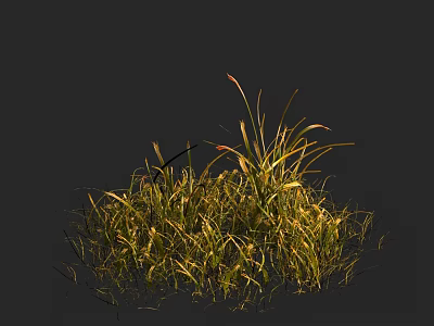 Natural Growing Clump of Grass with Slender Green and Yellow Leaves in Natural Setting 3d model