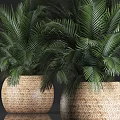 Green Palm Leaf Bonsai Potted Plants In Woven Basket Planters For Home Decor
