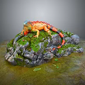 Colorful Iguana Perched on Mossy Rocks with Vibrant Scales and Greenery Around