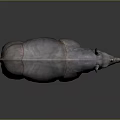 Realistic Rhinoceros 3D Model Standing With Detailed Skin Texture And Gray Background