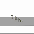 Trees of Various Sizes Isolated on Black Background with Green Foliage