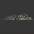 3D Mountainous Terrain Model With Green Vegetation Blue Water And Detailed Topographic Features