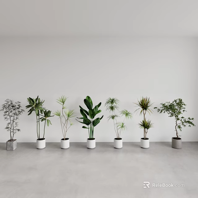 Various Potted Plants Arranged In A Row With White And Gray Pots In Minimalist Interior 3d model 
