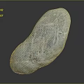 Natural Grayish Blue Stone with Irregular Shape and Surface Texture on Black Background