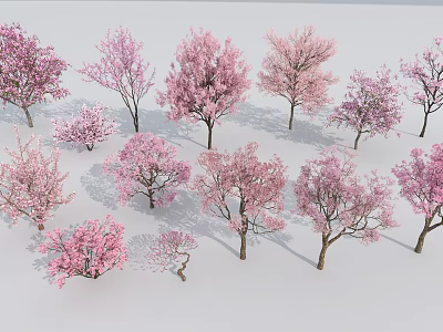 Beautiful Pink Flowering Trees In Various Sizes For Garden Landscaping 3d model