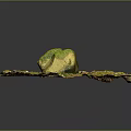Natural Stone Decor Featuring Moss Covered Stones Earthy Base And Circular Shape