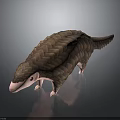 Realistic Pangolin 3D Model With Brown Scales And Pink Nose