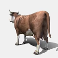 Realistic Brown And White Cow 3D Model With Detailed Fur And Horns