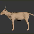 Soft Plush Antelope Toy With Realistic Design For Kids Playtime And Decoration
