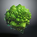 Vibrant Green Romanesco Broccoli Fresh Close Up With Unique Spiral Shape
