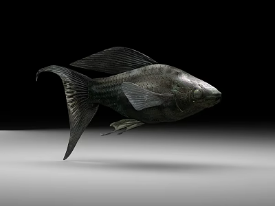 Aquatic Fish With Metallic Texture Detailed Fins Tail On Black Background Gray Surface 3d model