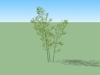 Bamboo 3d model