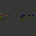 Various Colored Roses with Green Leaves in Garden Flower Collection