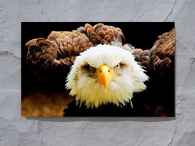 Close Up View Of Bald Eagle Head With Yellow Beak And Open Wings 3d model