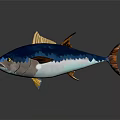 Colorful Blue And Orange Fish With Yellow Eyes 3D Model Scales Texture Smooth Surface Reflection