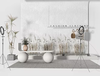 Modern live broadcast stand Clothing live broadcast room Live broadcast equipment Live broadcast station 3d model