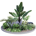 Vibrant Flower Plant Arrangement In Circular Bed With Large Leaves Purple Blooms Ferns Green Grass