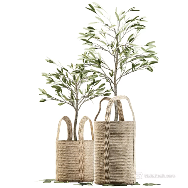 Small and Large Potted Olive Trees in Woven Bags for Interior Decor 3d model 