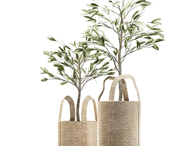 Small and Large Potted Olive Trees in Woven Bags for Interior Decor 3d model