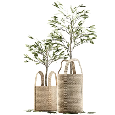 Small and Large Potted Olive Trees in Woven Bags for Interior Decor 3d model