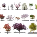Arbor Varieties For Landscape Design Featuring Various Shapes And Colors 3d model