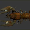 Vibrant Orange Lobster With Detailed Claws And Colorful Shell Aquatic Animal