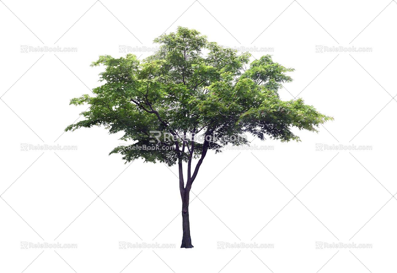 Tree 3d model