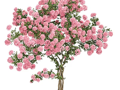 Lush Pink Flowering Arbor With Abundant Blooms And Green Foliage 3d model