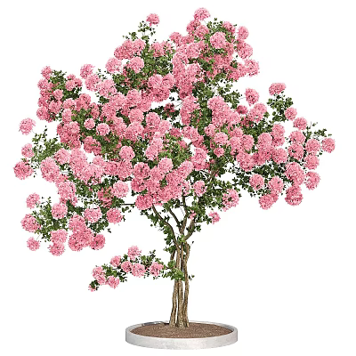 Lush Pink Flowering Arbor With Abundant Blooms And Green Foliage 3d model