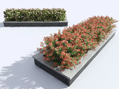 Colorful Flowering Shrubs In Long Stone Planter Boxes For Garden Landscape Design 3d model